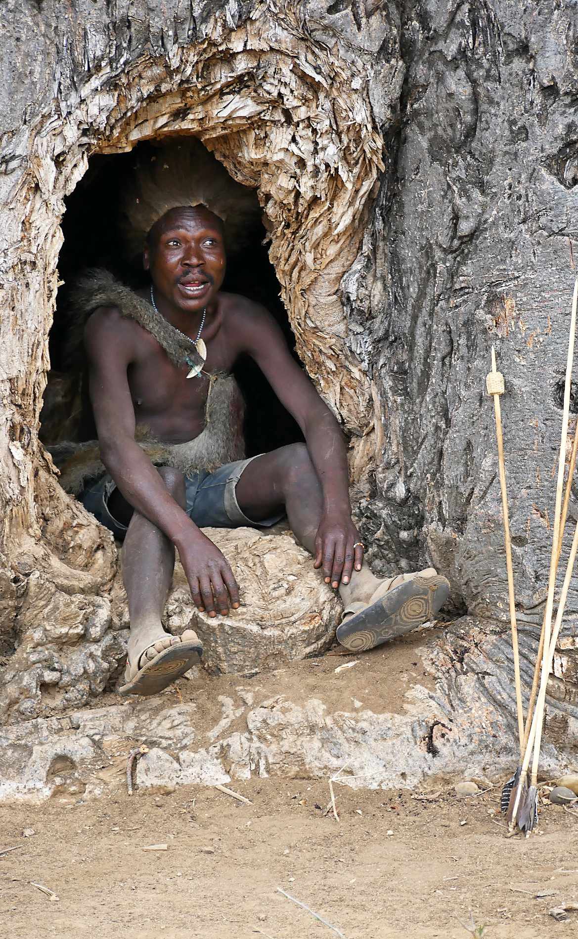 Hadzabe Jäger sitzt im Baobab Baum